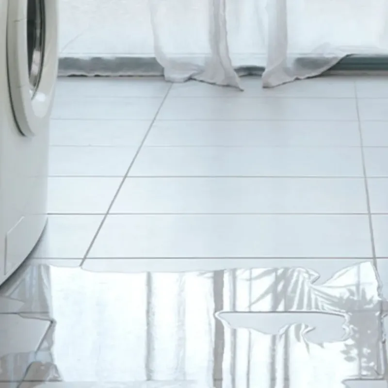 Appliance Leak Cleanup in Montverde, FL